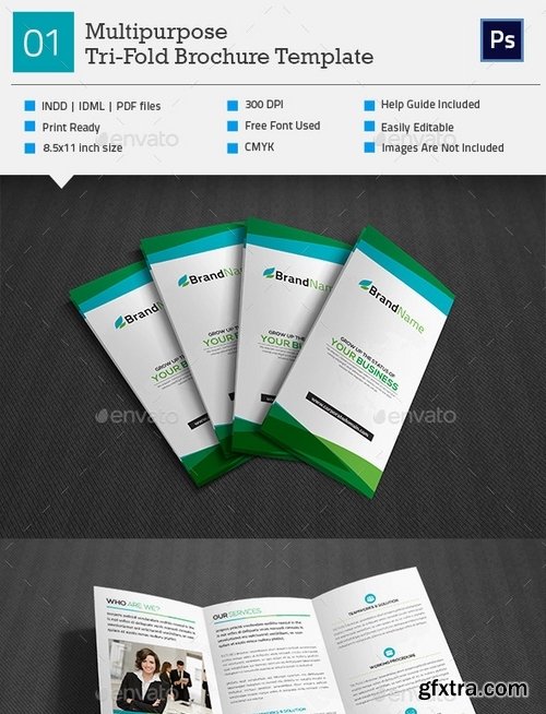 GraphicRiver - Multipurpose Tri-Fold Brochure_V1 11256061