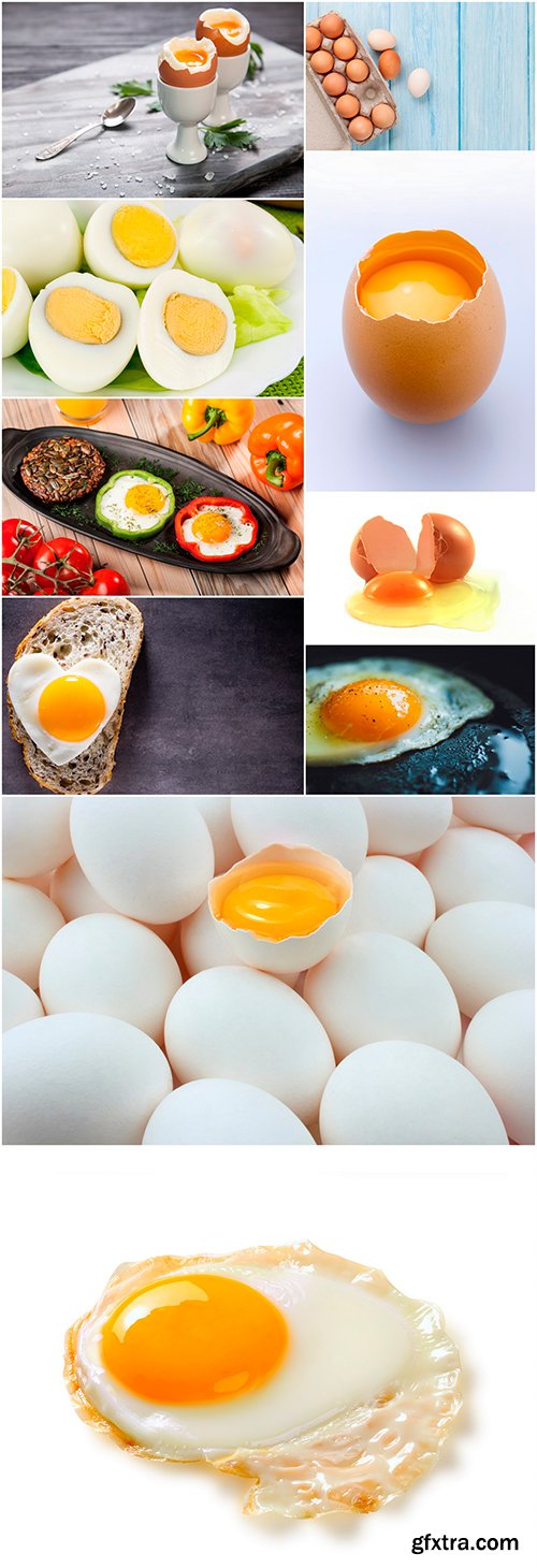 Eggs - 10UHQ JPEG