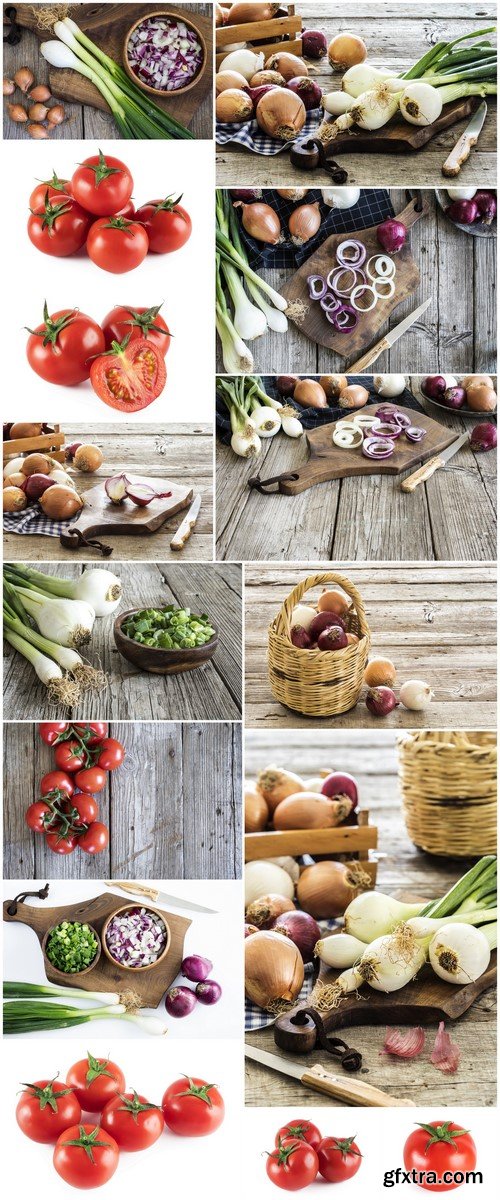 Tomatoes and onions 15X JPEG