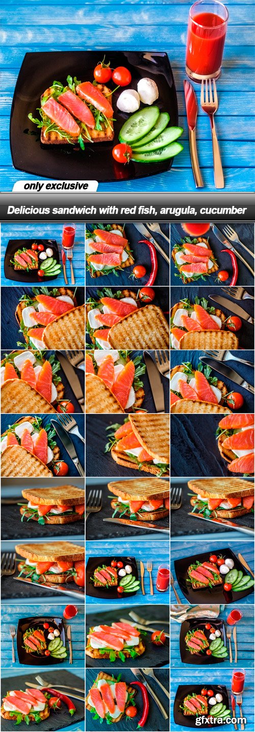 Delicious sandwich with red fish, arugula, cucumber - 23 UHQ JPEG