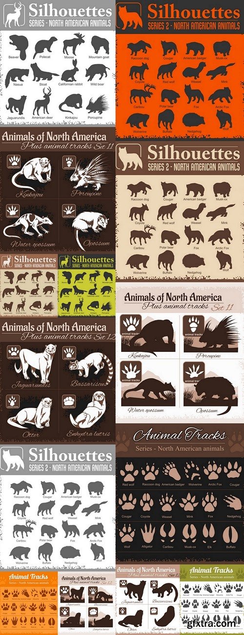 Animals and animal tracks, footprints