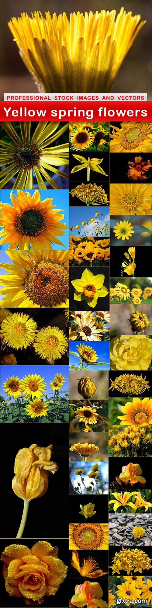 Yellow spring flowers - 40 UHQ JPEG