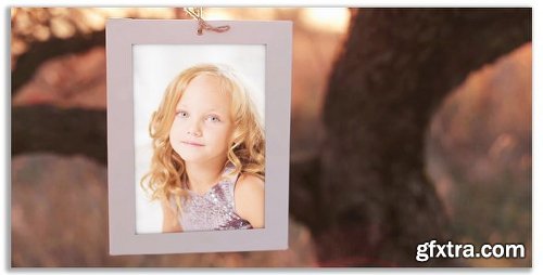 Videohive Photo Gallery Intro Pack 17075690