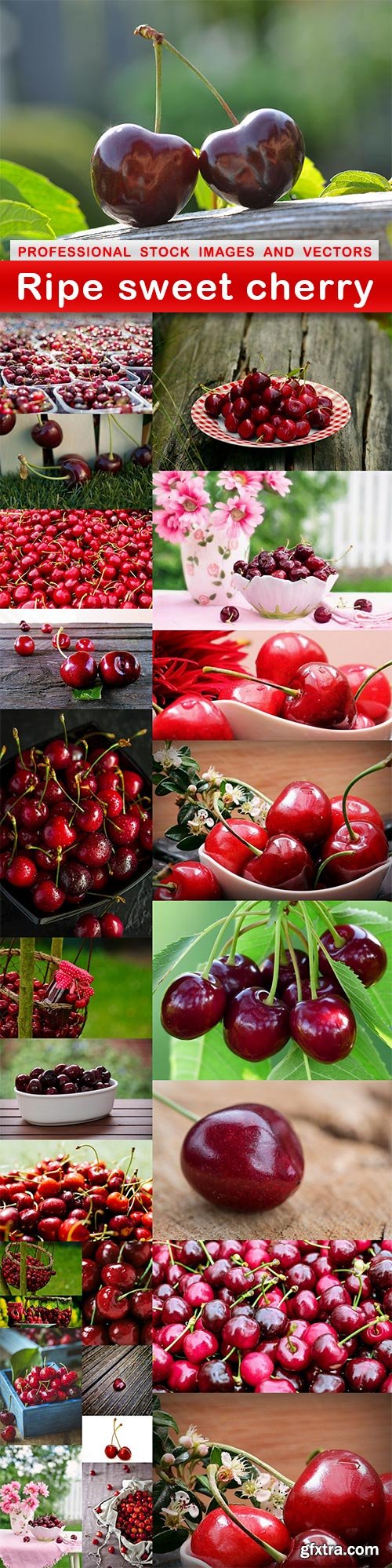 Ripe sweet cherry - 25 UHQ JPEG