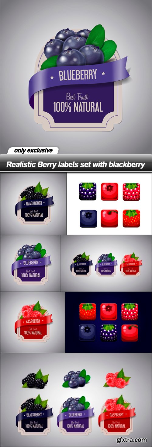 Realistic Berry labels set with blackberry - 7 EPS