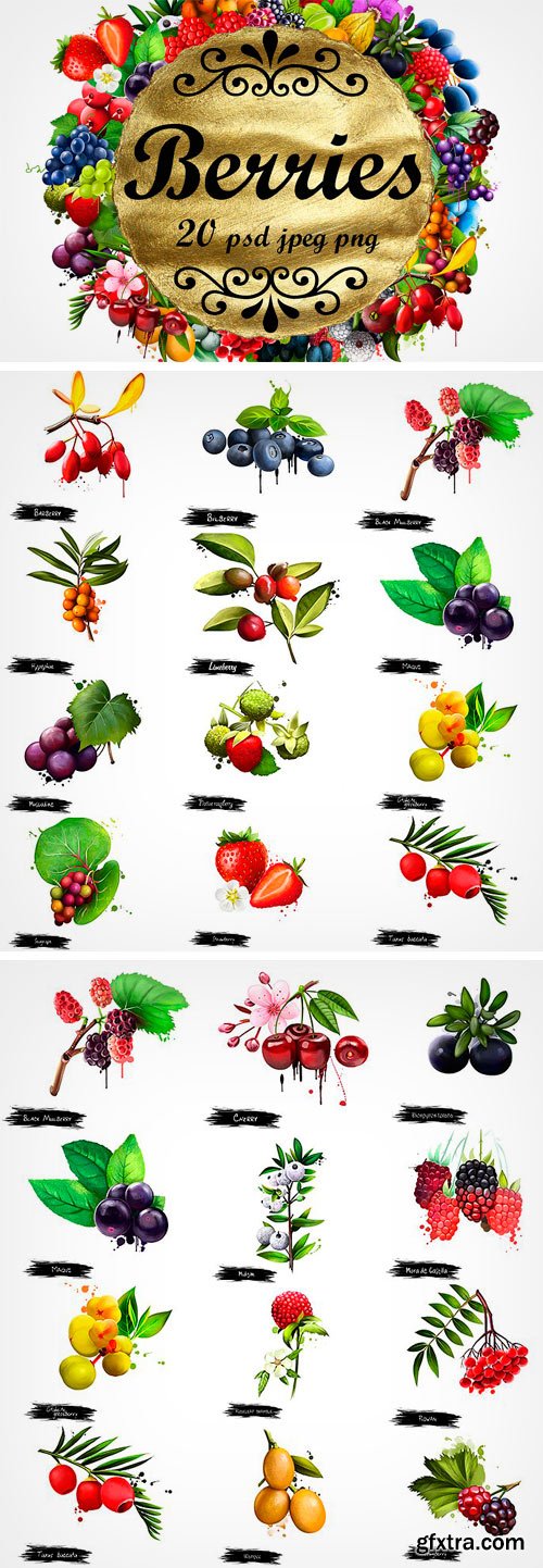 CM 1297033 - Berries Digital Art Collection 2