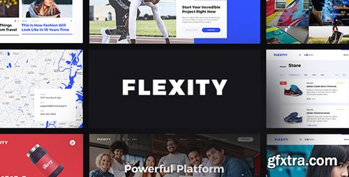 ThemeForest - Flexity - Multi-Purpose PSD Template 19539998