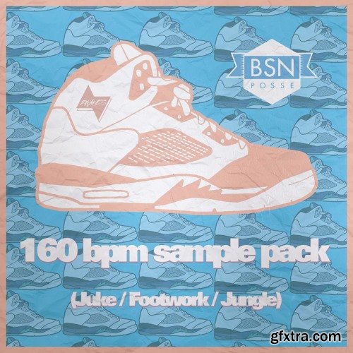 Two Waves BSN POSSE 160 SAMPLE PACK WAV-FANTASTiC