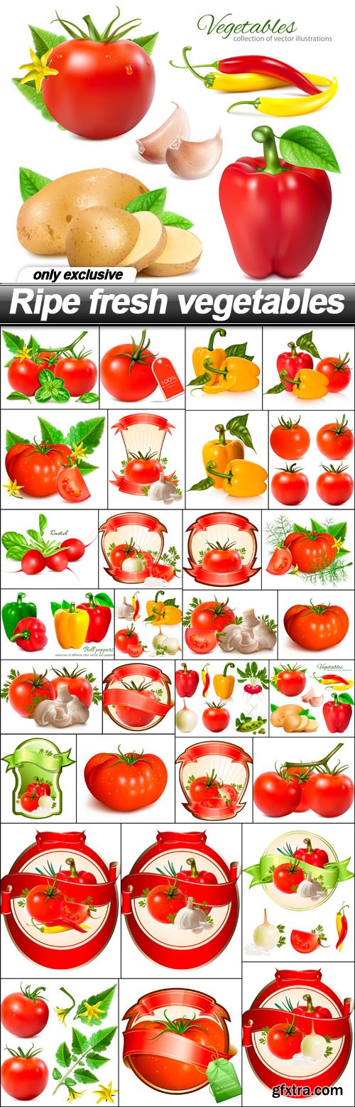 Ripe fresh vegetables - 30 EPS