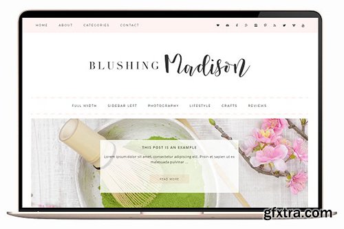 Blushing v3.1 - Wordpress Theme - CM 647800