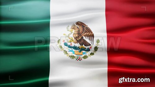 Mexico Flag