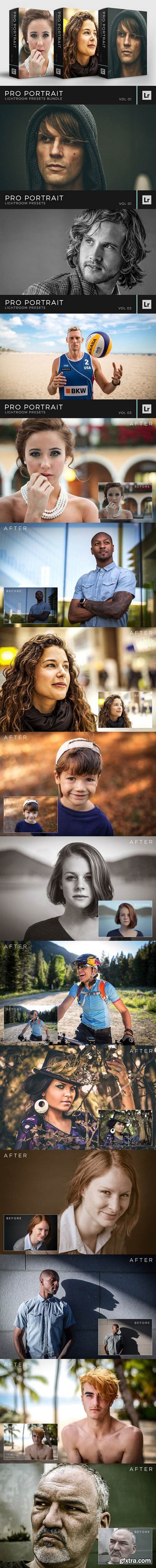 CM - Pro Portrait Lightroom Preset Bundle 1344384