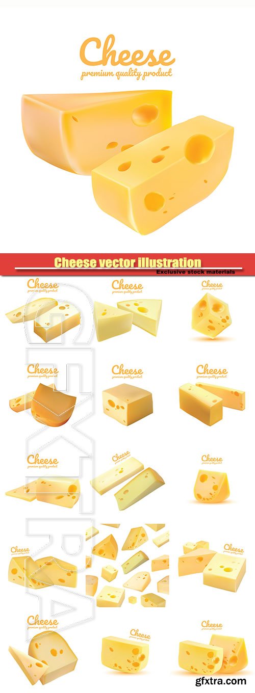 Cheese vector illustration