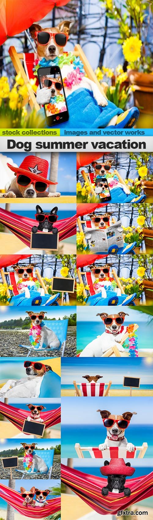 Dog summer vacation, 15 x UHQ JPEG