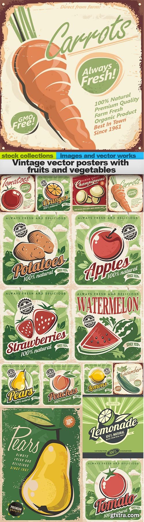 Vintage vector posters with fruits and vegetables, 15 x EPS