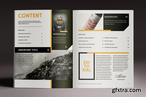 15 InDesign Magazine & Brochure Templates