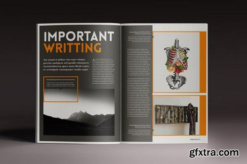 15 InDesign Magazine & Brochure Templates