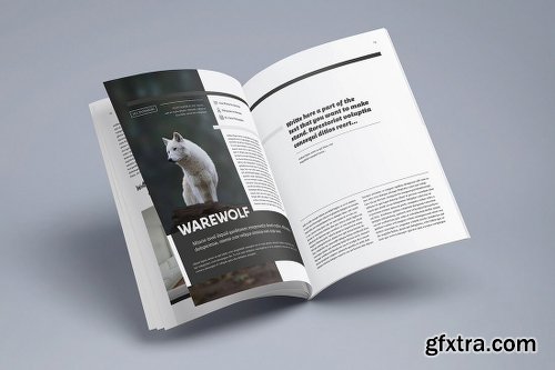 15 InDesign Magazine & Brochure Templates