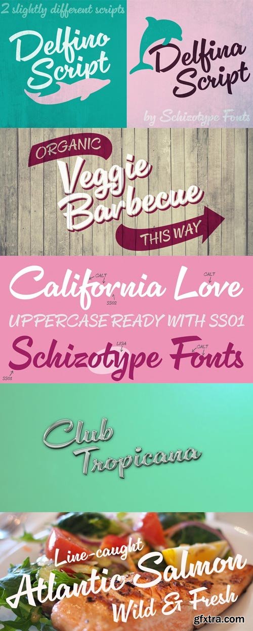 Delfino Script Font Family $60