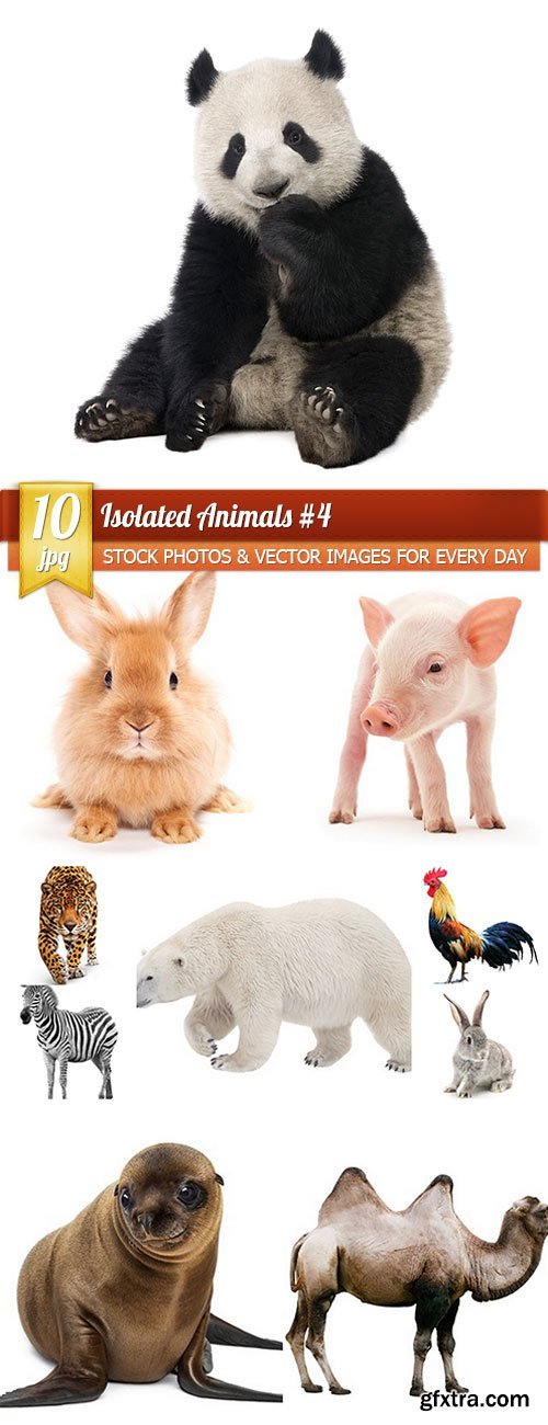 Isolated Animals 4, 10 x UHQ JPEG