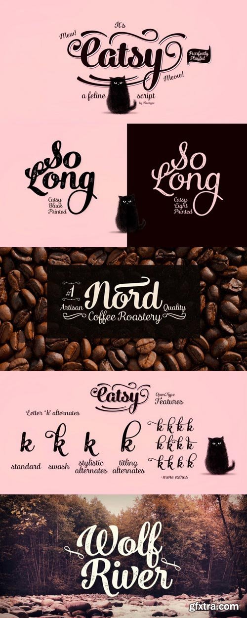 Catsy Font Family $65