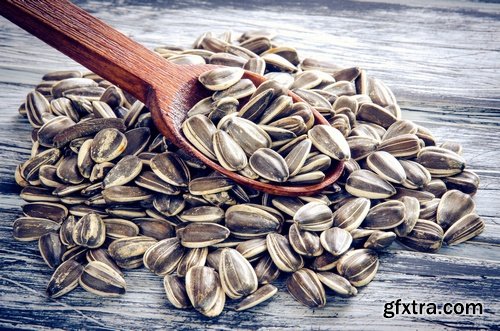 Seeds- 10 UHQ JPEG