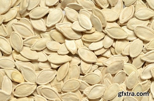 Seeds- 10 UHQ JPEG