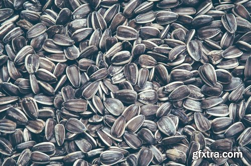 Seeds- 10 UHQ JPEG