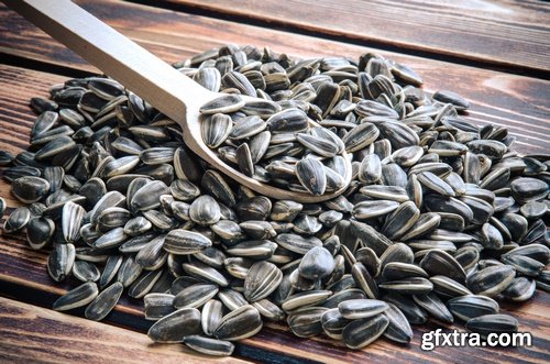 Seeds- 10 UHQ JPEG