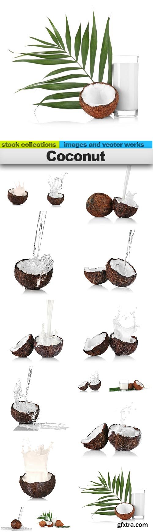 Coconut, 15 x UHQ JPEG