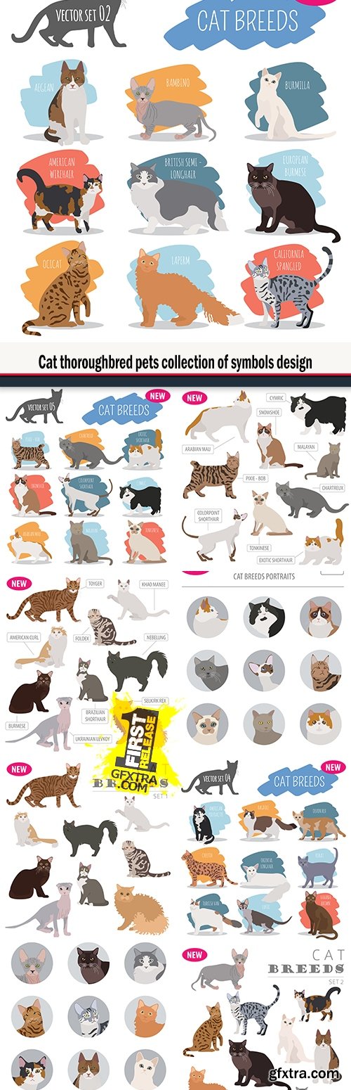 Cat thoroughbred pets collection of symbols design