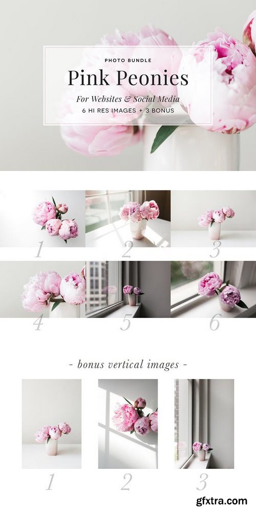 CM - Pink Peony Bundle + 3 Bonus Images 1329323