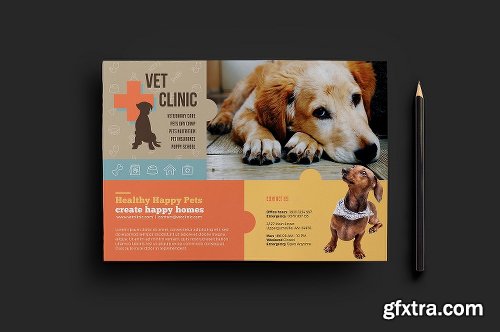 CreativeMarket Vet Clinic Templates Pack 1195816