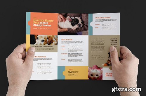 CreativeMarket Vet Clinic Templates Pack 1195816