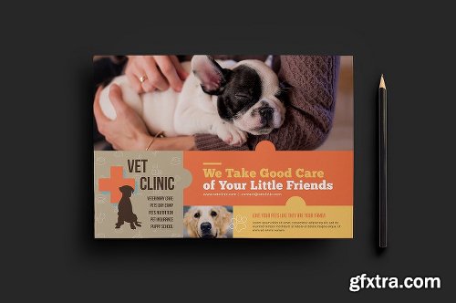 CreativeMarket Vet Clinic Templates Pack 1195816