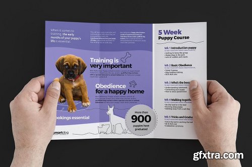 CreativeMarket Puppy School Templates Pack 1199562