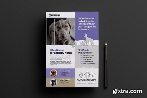 CreativeMarket Puppy School Templates Pack 1199562