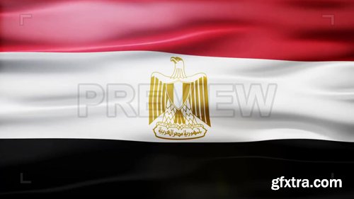 Egypt Flag 
