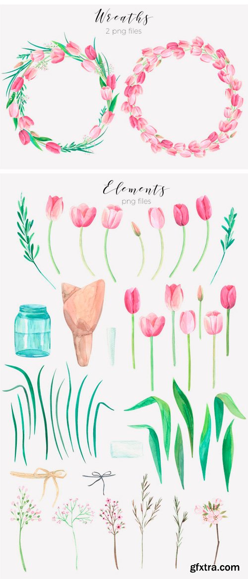 CM 1380810 - Tulip Blossom. Watercolor Clip Art