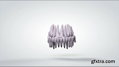 3d rotating model of human teeth