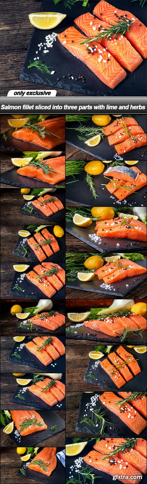 Salmon fillet sliced into three parts with lime and herbs - 18 UHQ JPEG