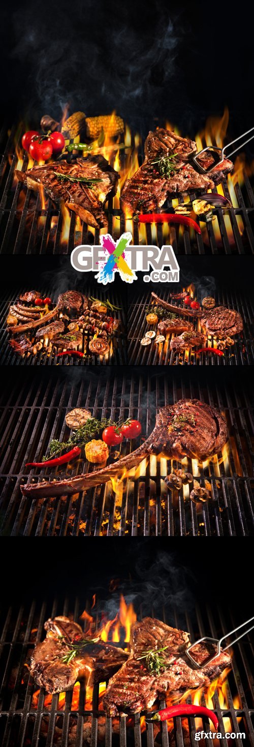Stock Photo - Grilled Meat 4