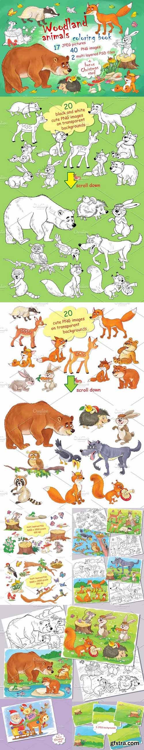 CM - Cute woodland animals bundle 1091920