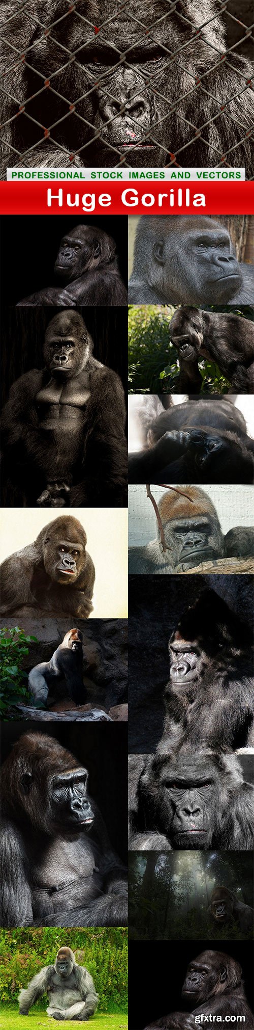 Huge gorilla - 15 UHQ JPEG