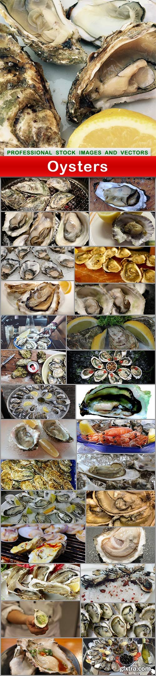 Oysters - 29 UHQ JPEG