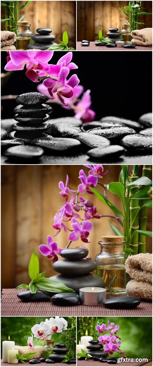 Zen stones orchids & bamboo 6X JPEG