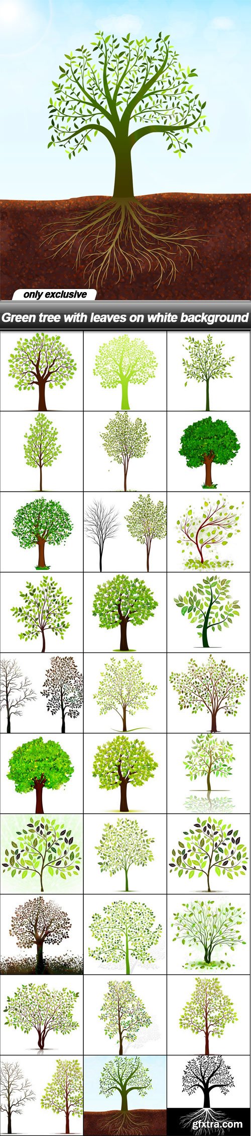 Green tree with leaves on white background - 30 EPS