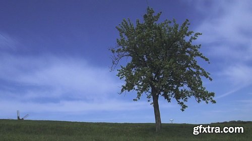 Young happy woman is running and jumping by the camera blue sky and green grass on the background