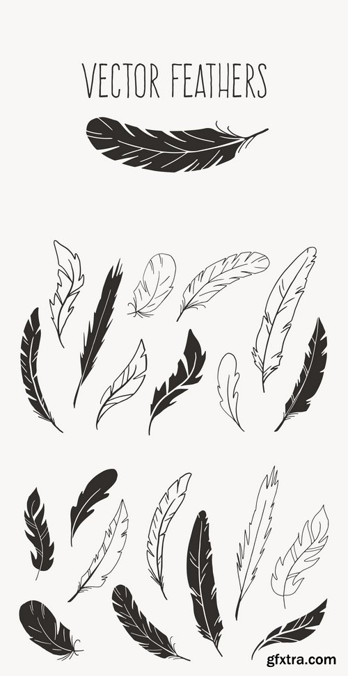 Hand Drawn Vector Feathers