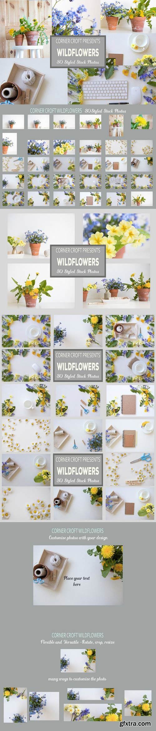 CM - Wildflower Styled Stock Photo Bundle 1478836